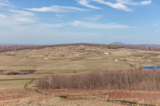 Early spring landscape in a field near the forest