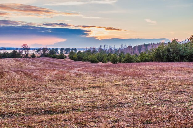 Photo early spring landscape with sunset over lake