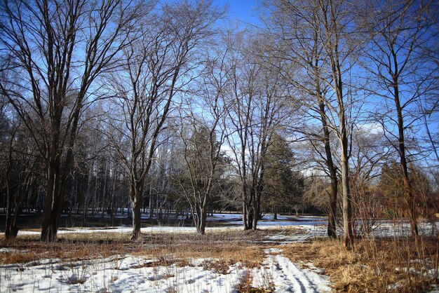 early spring snow melts in the park landscape