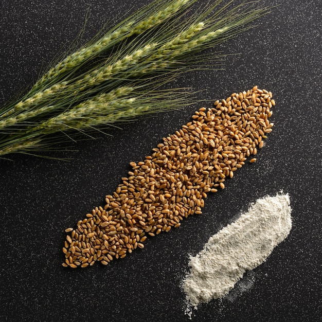 Photo ears of corn, grain and flour rye lie on tile