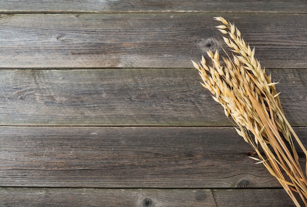 Ears of oat on old wooden surface