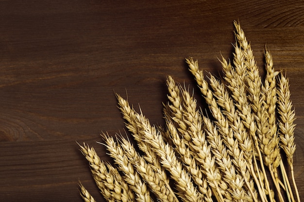 Ears of ripe wheat. Dark brown wooden background with ripening ears close up.