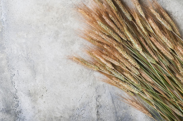 Ears of ripe wheat on grey stone or concrete table background The problem of wheat transportation and world food crisis concept Top view Mock up