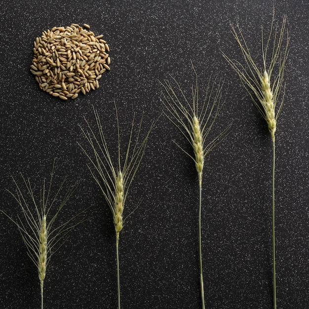 The ears and rye lie on a dark ceramic tile