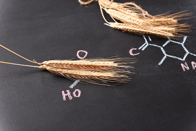 Ears of wheat against the background of the chemical formula