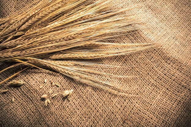 Photo ears of wheat on a sackcloth