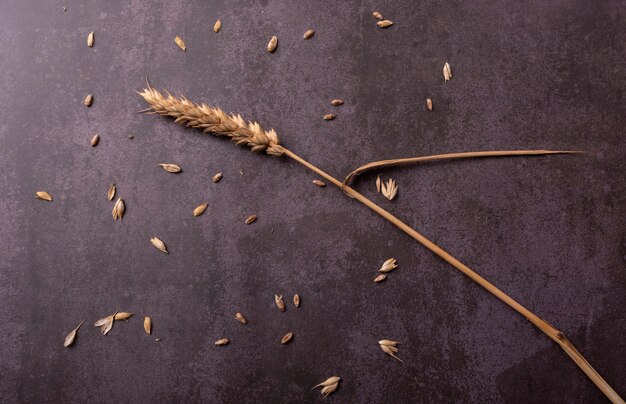 Ears of wheat, on top of a textured base