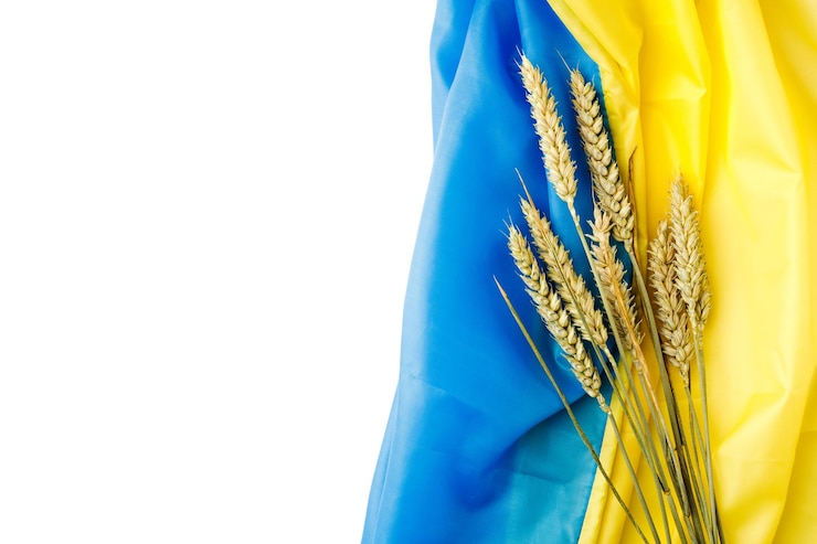 Фотография колосья пшеницы на украинском национальном флаге символы украины синие и желтые цвета крупным планом выстрел фон