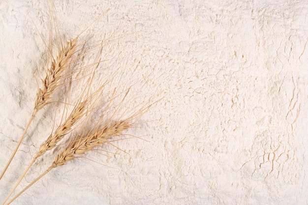 Photo ears of wheat on a white flour background