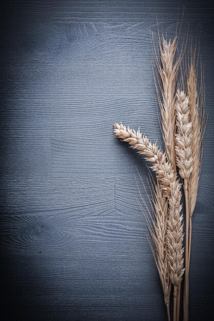 Ears of wheat on wooden board