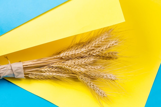 Ears of wheat on a yellow and blue background Colors and symbols of Ukraine