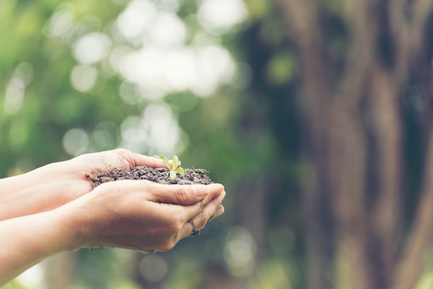 Photo earth day concept. close up hand of young woman holding small plant growing on soil with green background