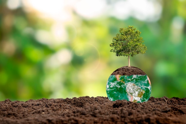 Foto concetto di giorno della terra o concetto di giorno dell'ambiente albero che cresce sul terreno elementi di questa immagine forniti dalla nasa