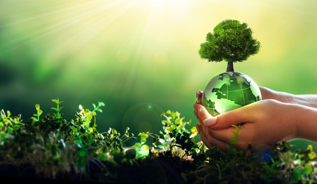 Earth Day en Arbor Day-concept Milieu red schone planeetecologie