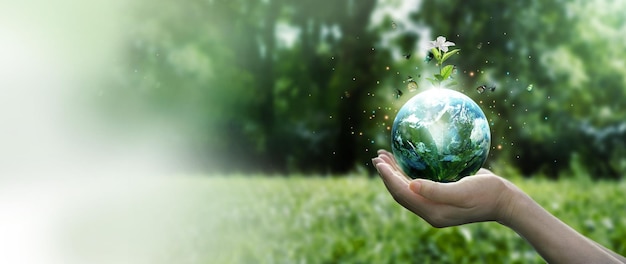 Earth Day and Environment concept Hands protect blue earth and white flower with flying butterfly