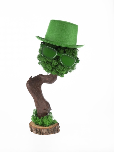 Earth Day, hat on upper branches of tree,St.Patrick 's Day