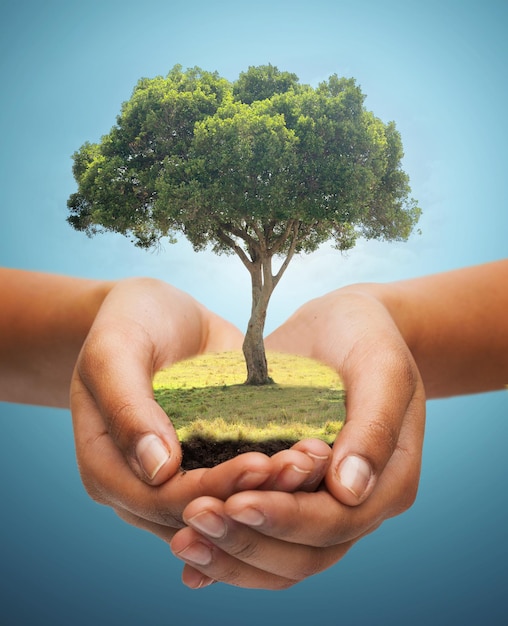 지구의 날, 자연, 보존, 환경 및 생태 개념 - 파란색 배경 위에 녹색 오크 나무를 들고 손