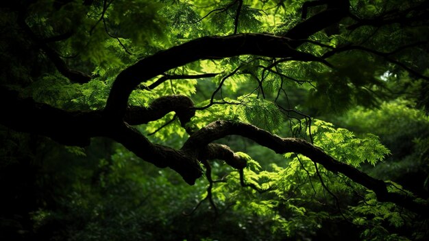 Earth Day and World Environment Day Spring Tropical tree leaves and branch with beautiful green forest background generate ai