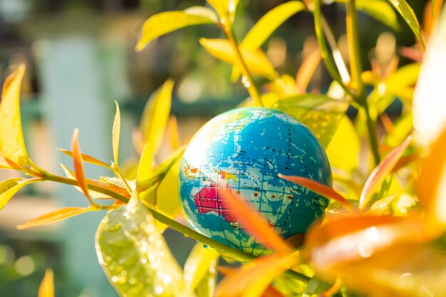Earth globe ball on branches plant treetop. saving protect,\
environment, arbor day, card for world earth day, conservation, eco\
concept.