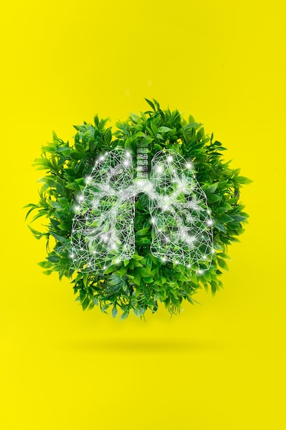 Foto earth globe, gemaakt van groen gras met hologram longen. het concept van het behoud van de groene planeet