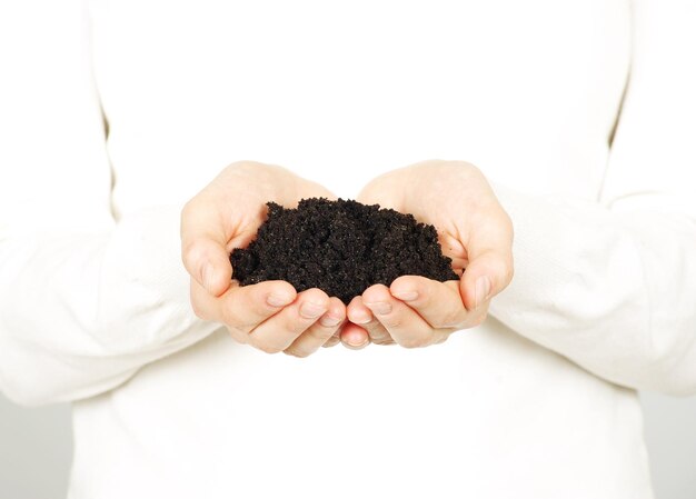 Earth in hands isolated on a white background