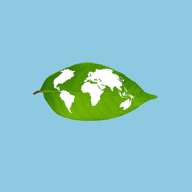Карта Земли на зеленом листе Элементы этого изображения предоставлены НАСА