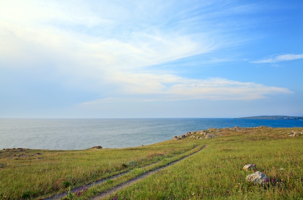 夏の海岸近くの大草原の地球道路