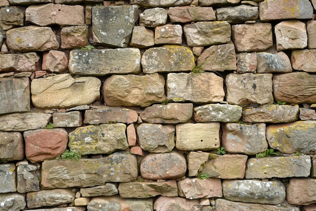 Earthy Natural Stone Texture