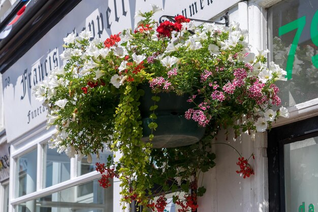 East Grinstead in Bloom