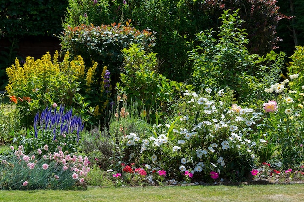 Un giardino di east grinstead in piena fioritura