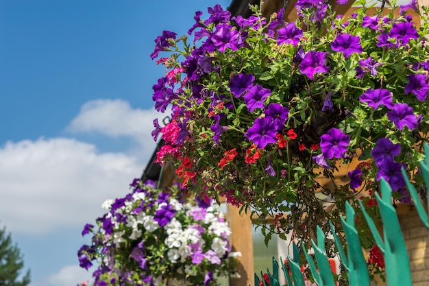 East Grinstead in Bloom