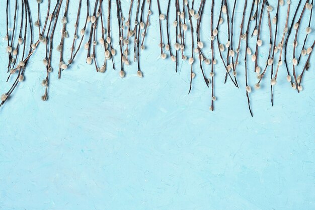 Easter background. Border of willow branch on blue background. Copy space, top view.