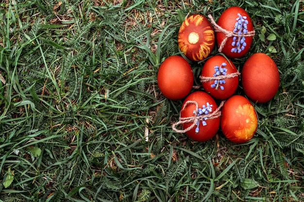 Easter background, multi-colored chicken and quail eggs on bright natural grass background.