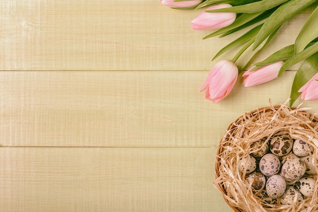 Easter background pink tulips on wooden table quail eggs nest