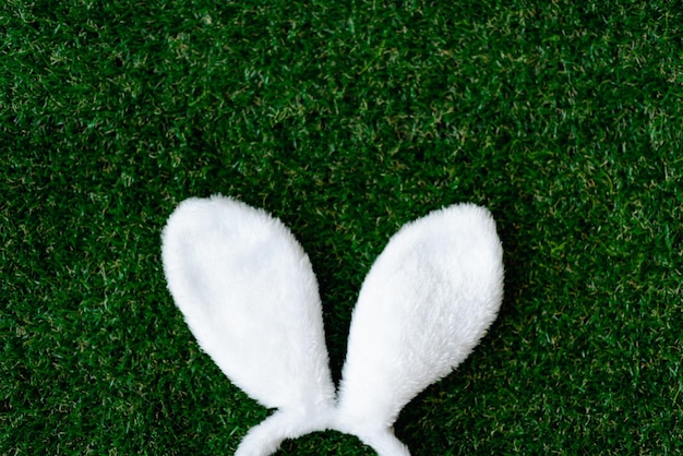 Photo easter background with cute easter bunny ears on green grass top view with copy space spring holidays banner and header