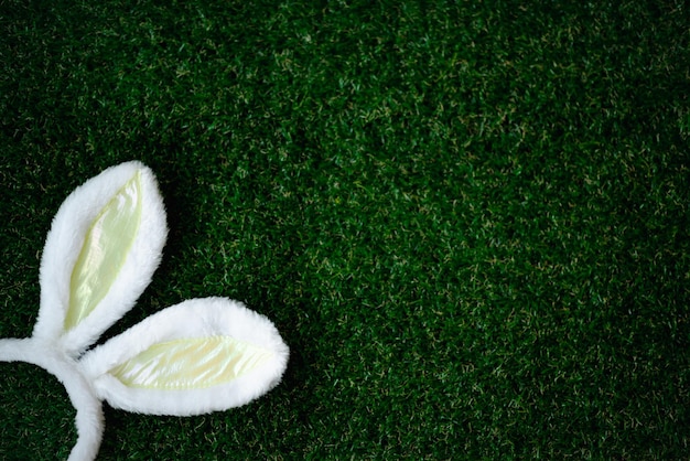 Foto sfondo pasquale con graziose orecchie da coniglietto pasquale su erba verde vista dall'alto con spazio per la copia banner e intestazione per le vacanze primaverili