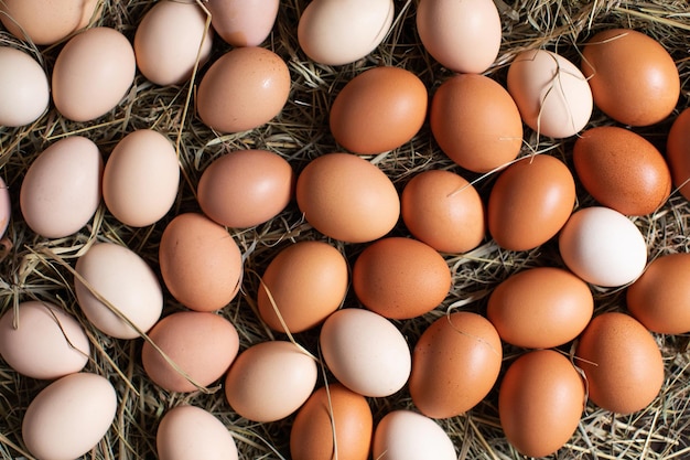 Easter background with many chicken eggs on hay