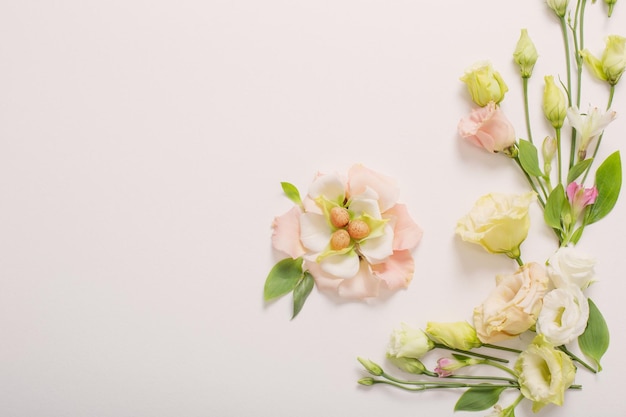 Sfondo di pasqua con piccole uova e fiori pastello su bianco