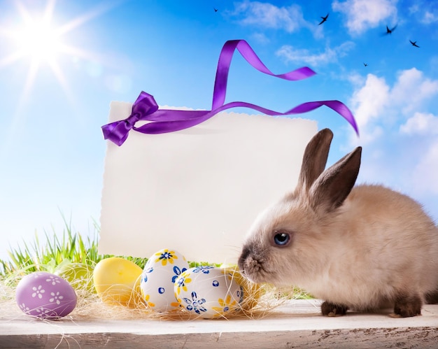 easter banner or Easter greeting card template