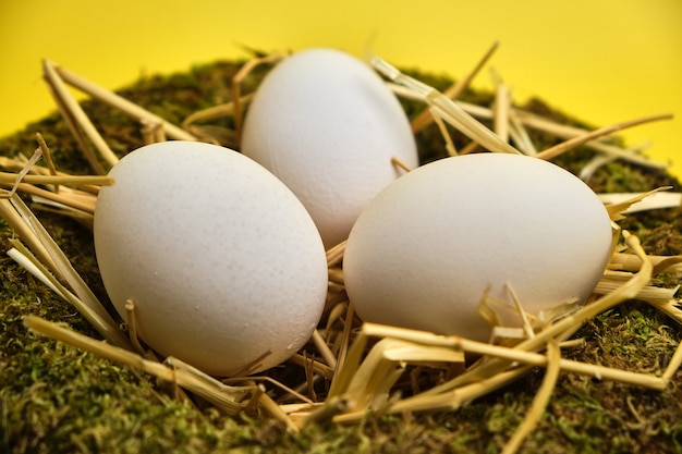 Easter basket nest with easter eggs on yellow background close up