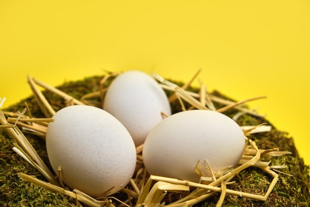 Easter basket nest with easter eggs on yellow background