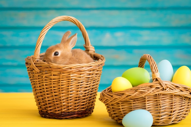 Easter bunny and basket of eggs