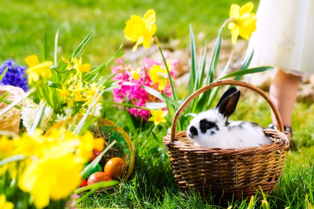 Easter bunny on meadow with basket and eggs