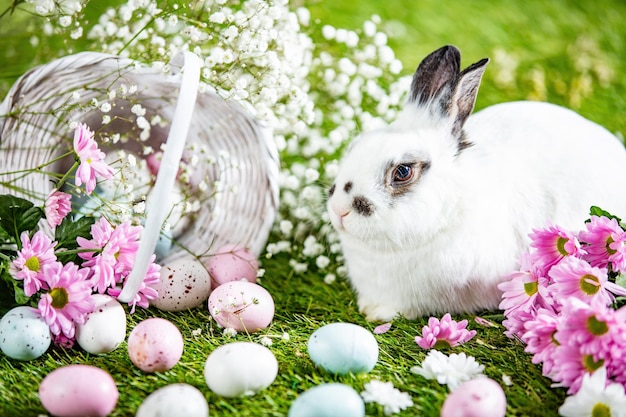 Easter bunny and painted eggs in basket on grass Holiday theme