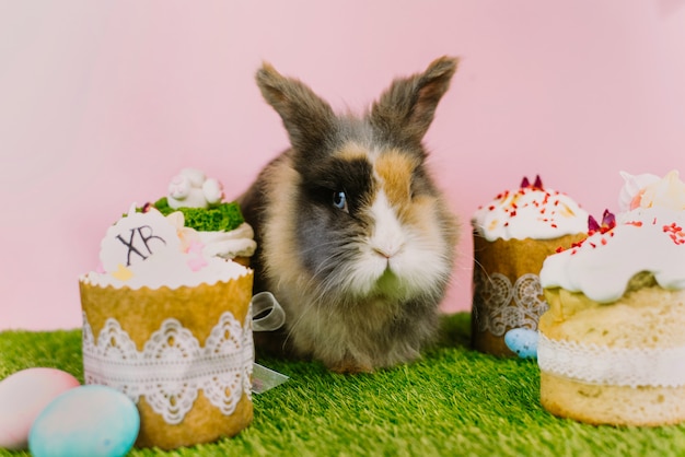 Easter bunny rabbit with colored pastel colored eggs and sweet cupcakes and Easter cakes on a pink background and fresh grass. Easter holiday concept