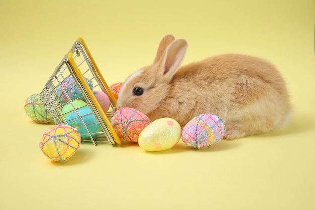 写真 木製のバスケットに塗られた卵のイースターのウサギのウサギ