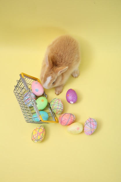 写真 木製のバスケットに塗られた卵のイースターのウサギのウサギ