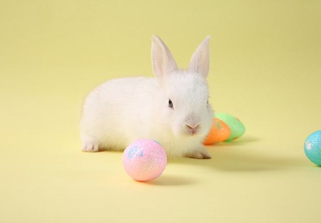 Coniglio di coniglietto di pasqua con l'uovo dipinto nel cestino di legno
