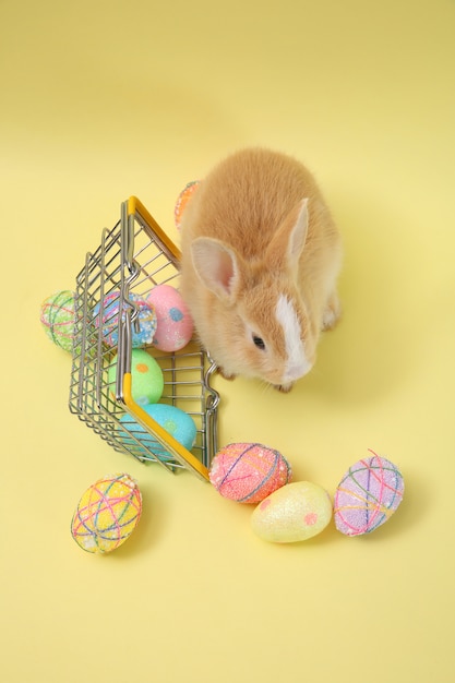 Foto coniglio di coniglietto di pasqua con l'uovo dipinto nel cestino di legno