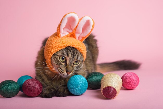 Easter Bunny Tabby cat with bunny ears and easter eggs on pink background Funny Easter background